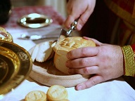 Что такое антидор? И что с ним делать?
