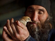Благодать и свобода