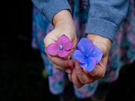 Цель: уцелеть