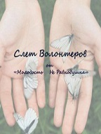 Слёт Волонтёров