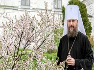 Духовные советы митрополита Антония (Паканича): 20 вопросов о боли, любви, смерти, страданиях и верности