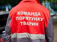 Животное в беде? Звоните в команду спасения!