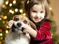"Собака - не подарунок": у Німеччині заборонили брати тварин з притулків на різдвяні свята