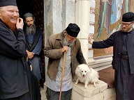 История одного паломничества