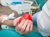 Более 50 запорожских священников и мирян стали донорами крови