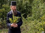 Один важный совет афонских старцев
