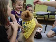Каністерапія: як собаки лікують дітей та тих, хто повернувся з війни