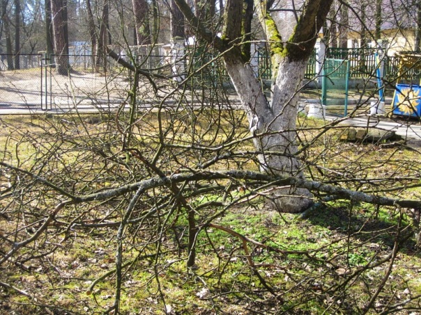 Дом малютки