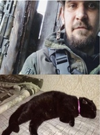 Перед смертью просил позаботиться о коте: волонтеры спасли питомца защитника "Азовстали"