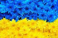 Опитування сайту «Православіє в Україні» до Дня Незалежності