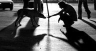 Чувствительность как средство испортить доброе дело
