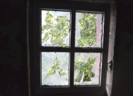 Сердце сокрушенно. Часть 2